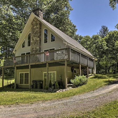 Spacious Home With Deck, Grill And Delaware River View Callicoon Εξωτερικό φωτογραφία